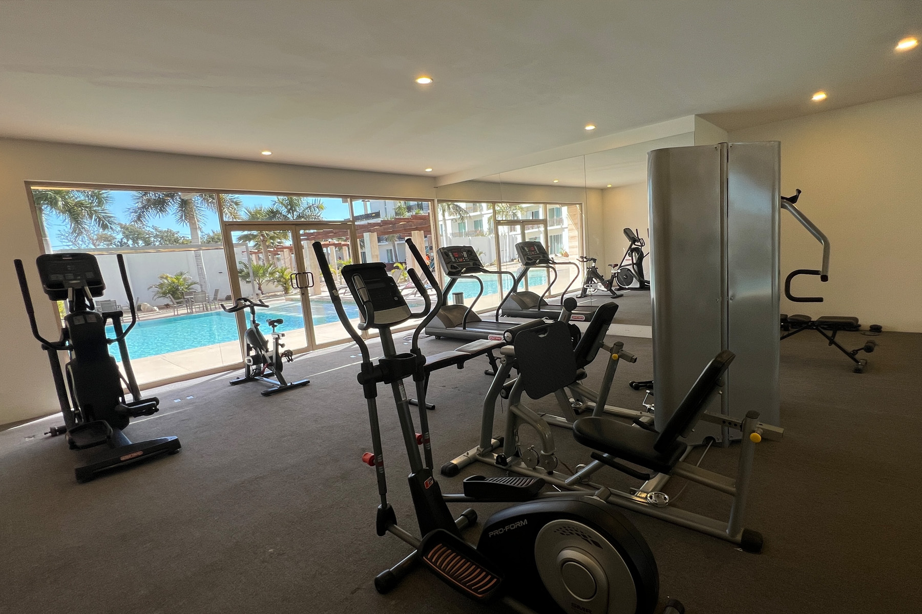 Gimnasio